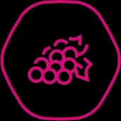 Adaptive Allocations